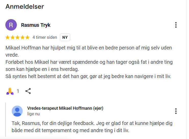 Google-anmeldelse